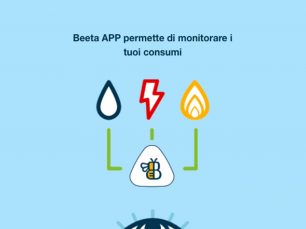 Grifo Multimedia - App beeta game